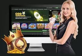 jdbby ဘင်ဂို ဂိမ်း lobby နှင့် bingo card မြင်ကွင်း